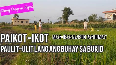 pinay kantotan sa bukid|'pinay sa bukid' Search .